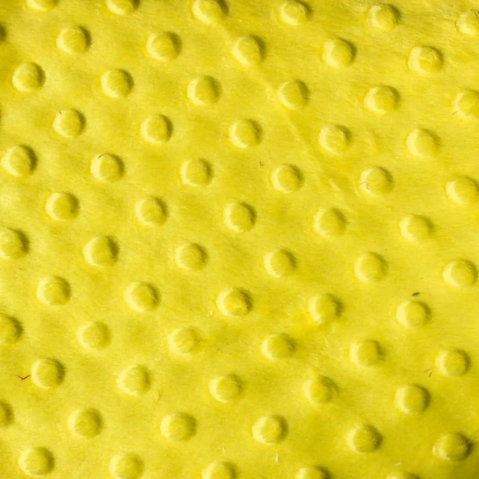 Bubble Polka Dot Minky Fabric By The Roll (20 Yards) Wholesale Fabric